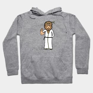 Kung Fu Monkey Hoodie